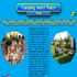 Camping Aurel Vlaicu 